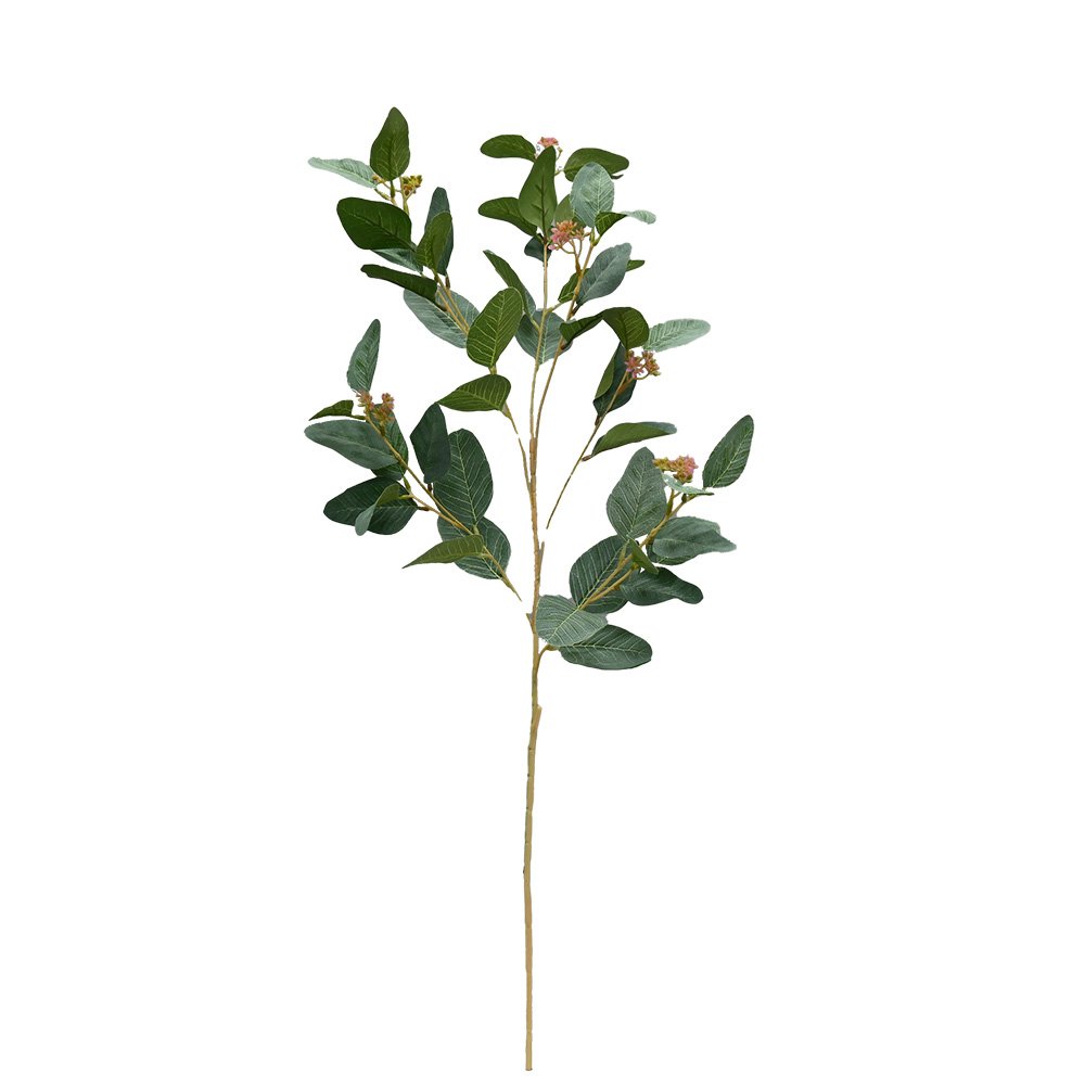 Seeded Gum - Sage Green