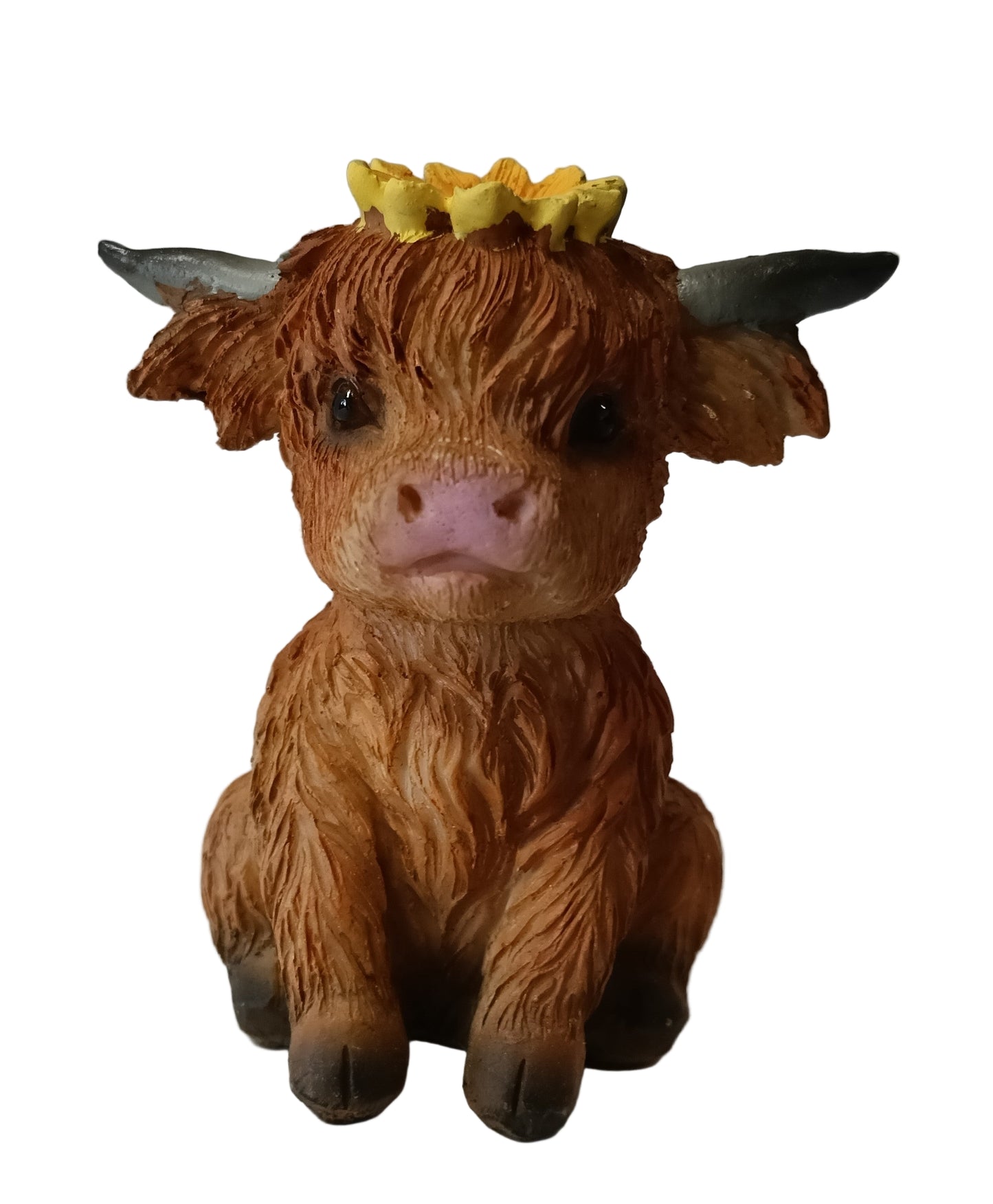 Highland Cow