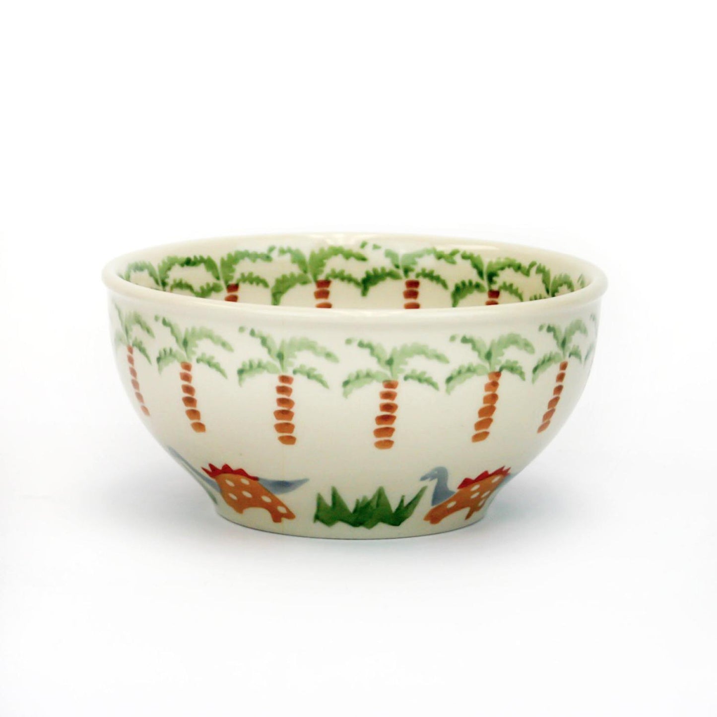 Childrens Bowl Dinosaurs