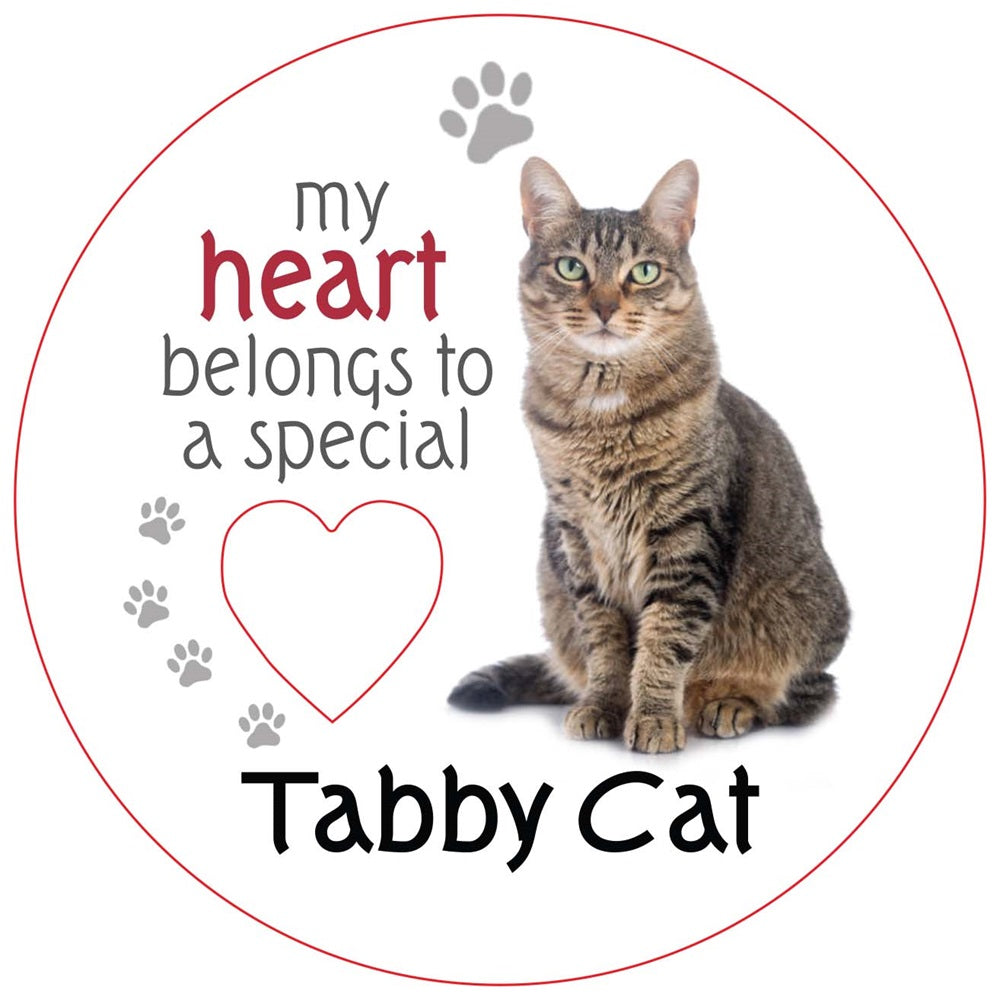 Tabby Cat Piece of My Heart Magnet