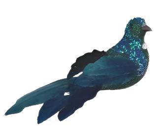 Baby Tui Bird Clip
