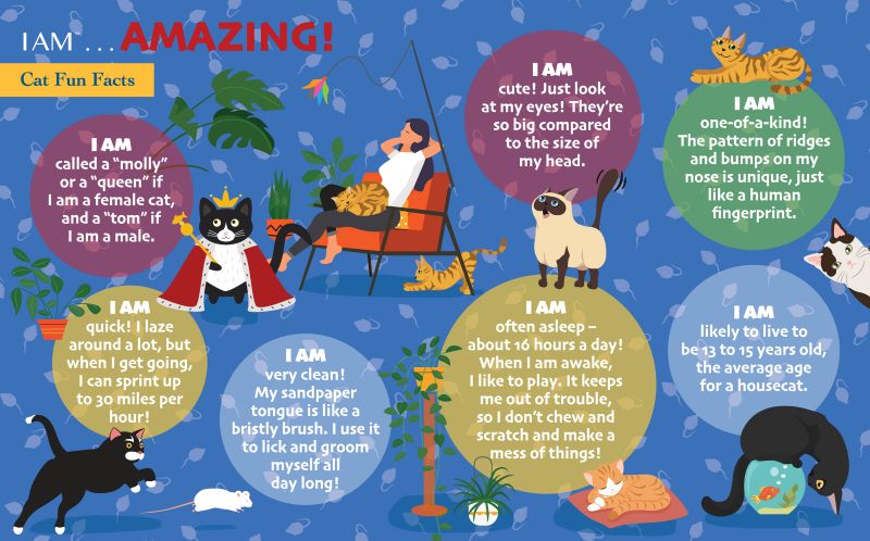 I Am Cat Puzzle