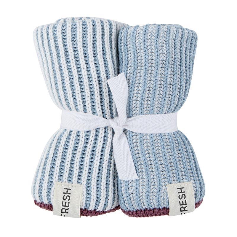Dishcloth Set Of 2 Blue