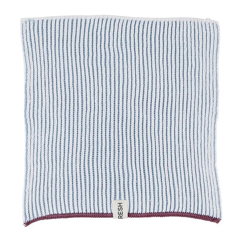Dishcloth Set Of 2 Blue