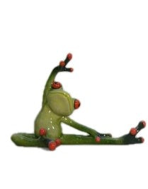 Funky Yoga Frogs