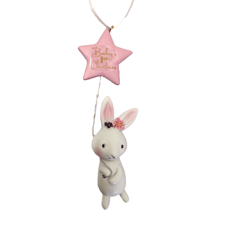 Rabbit With Star Balloon