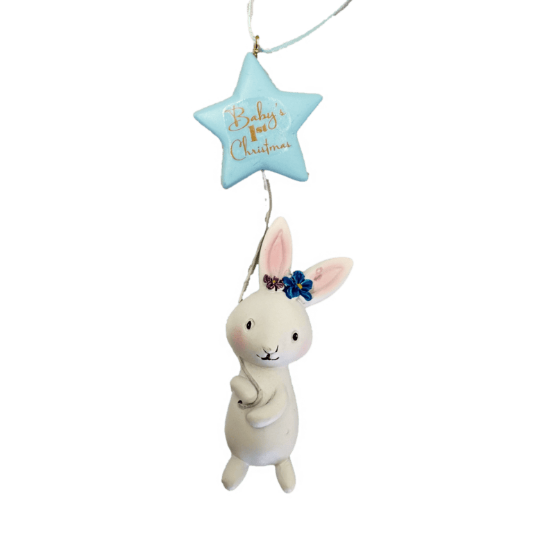 Rabbit With Star Balloon