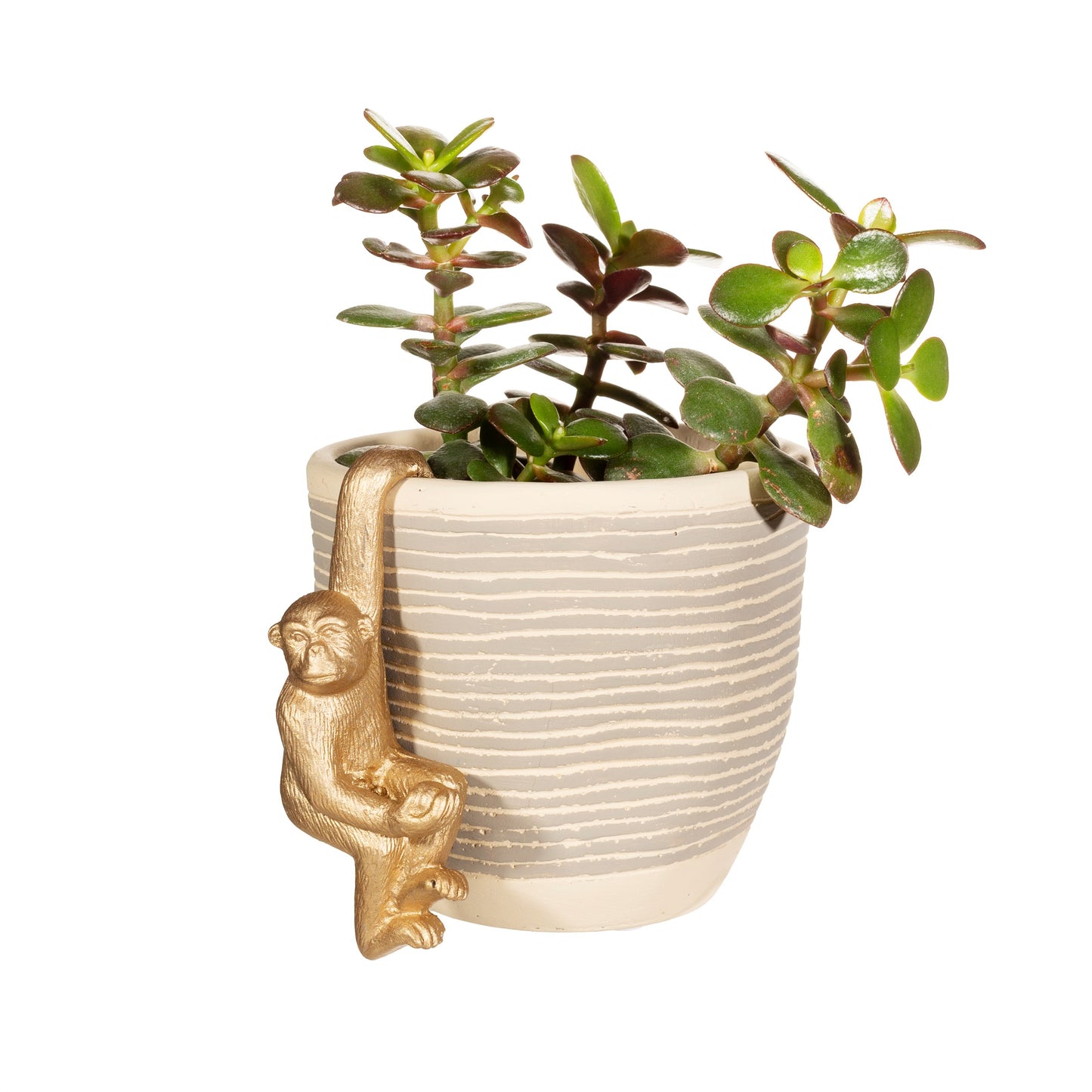 Golden Monkey planter hanger