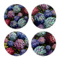Coaster Hydrangea Bouquet