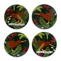 Coaster Set Kiwi Homeland