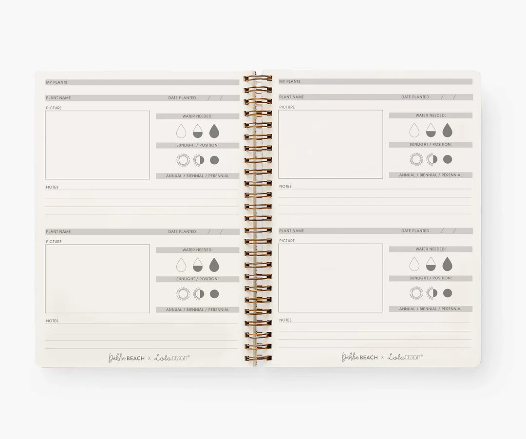 Dahlia Beach Gardeners Notebook