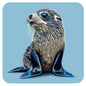 New Zealand Fur Seal Coaster