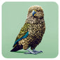 New Zealand Kea Coaster