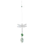 Crystal Sundrop Dragonfly