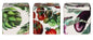 Vegetable Garden Set of 3 Small Hinged Tins