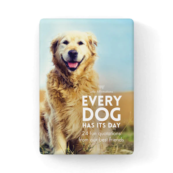 Little Affirmations: Every Dog Has Its Day