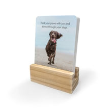 Little Affirmations: Pupparazzi