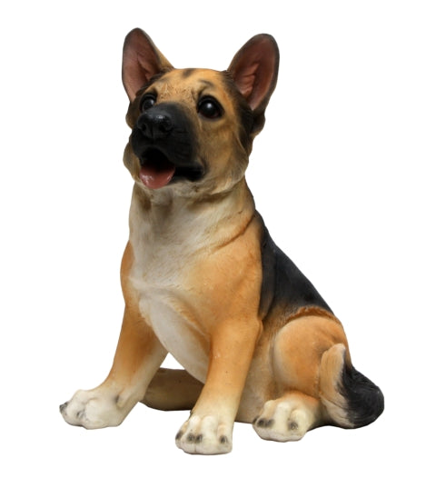 German Shepherd Dog