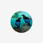 Coaster - Tui