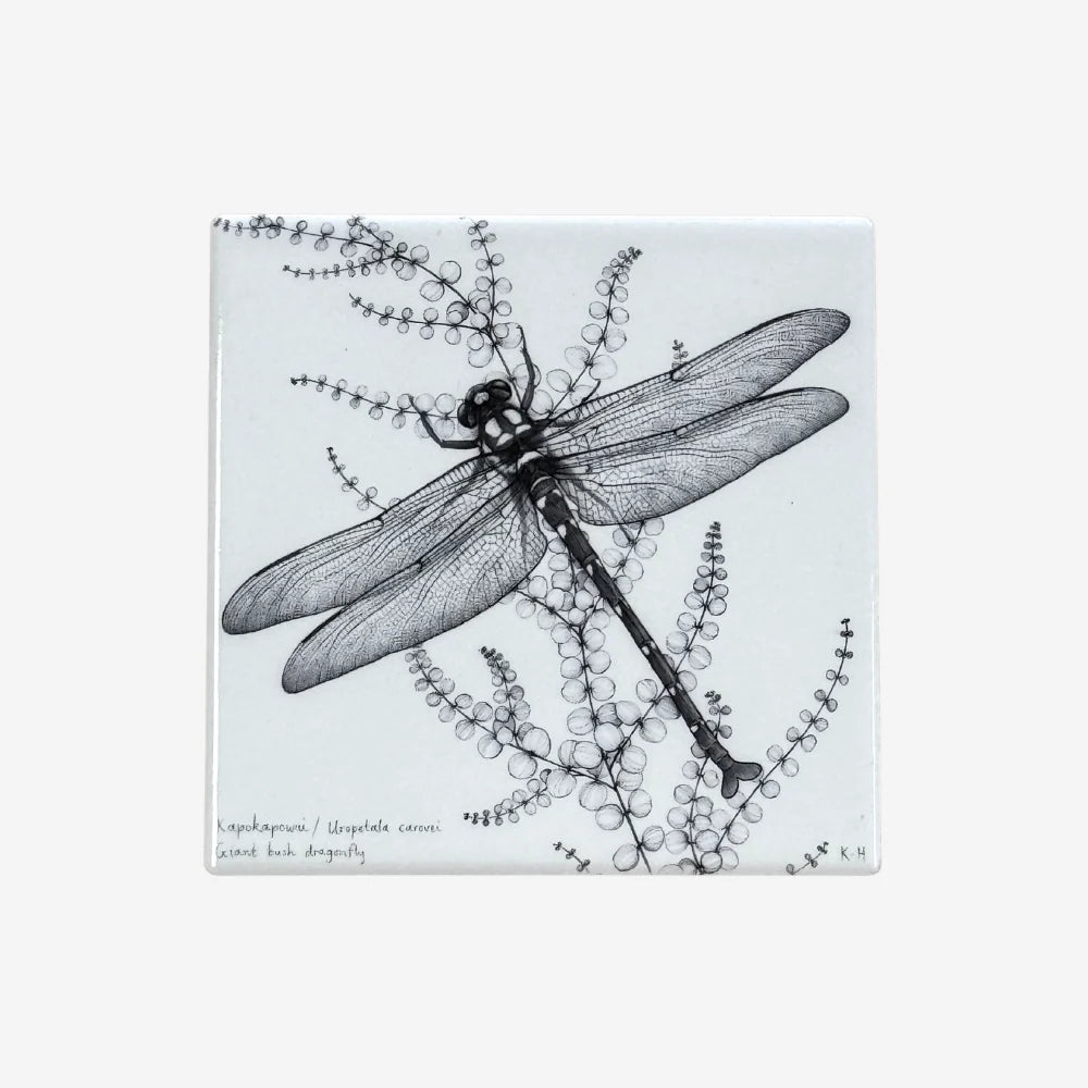 Coaster - NZ Giant Dragonfly / Kapokapowai