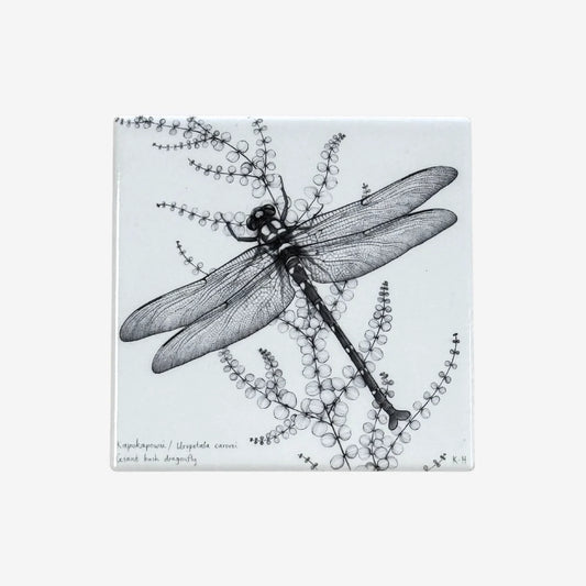 Coaster - NZ Giant Dragonfly / Kapokapowai