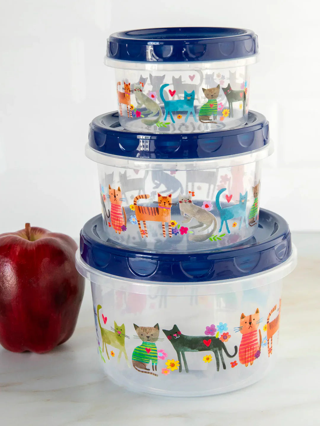 Cat Storage Containers Set 3