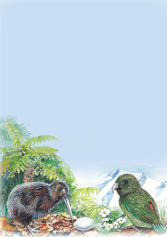 Kiwi and Kea Note Pads