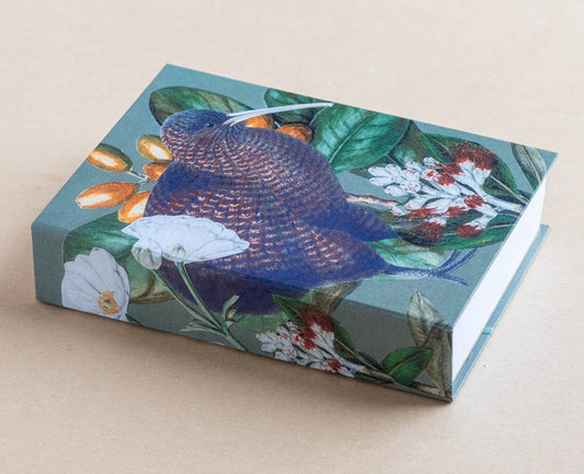 Jotter Pad – Kiwi
