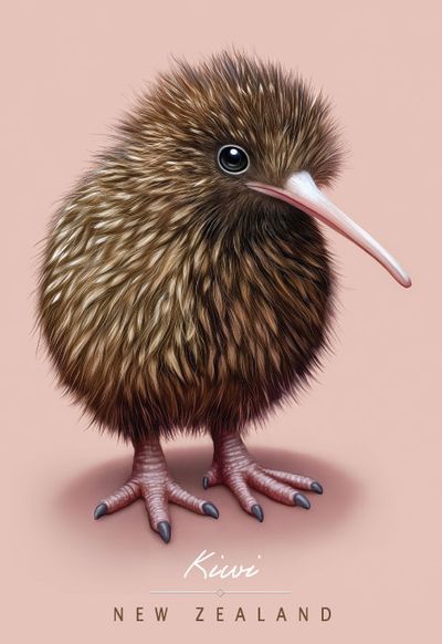 Kiwiana Magnets
