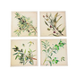 Square Olives Coaster Set 4