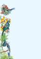 NZ Pigeon, Tui and Bellbird Note Pads
