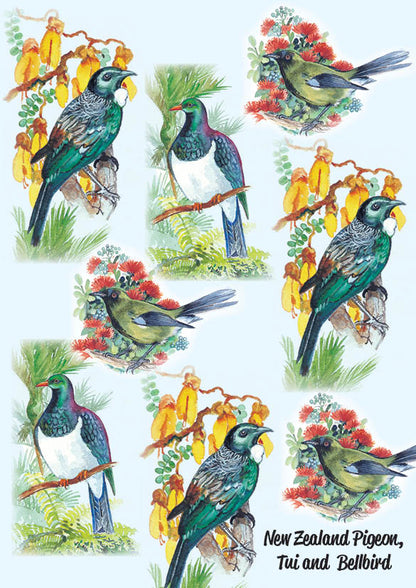 NZ Pigeon, Tui and Bellbird Note Pads
