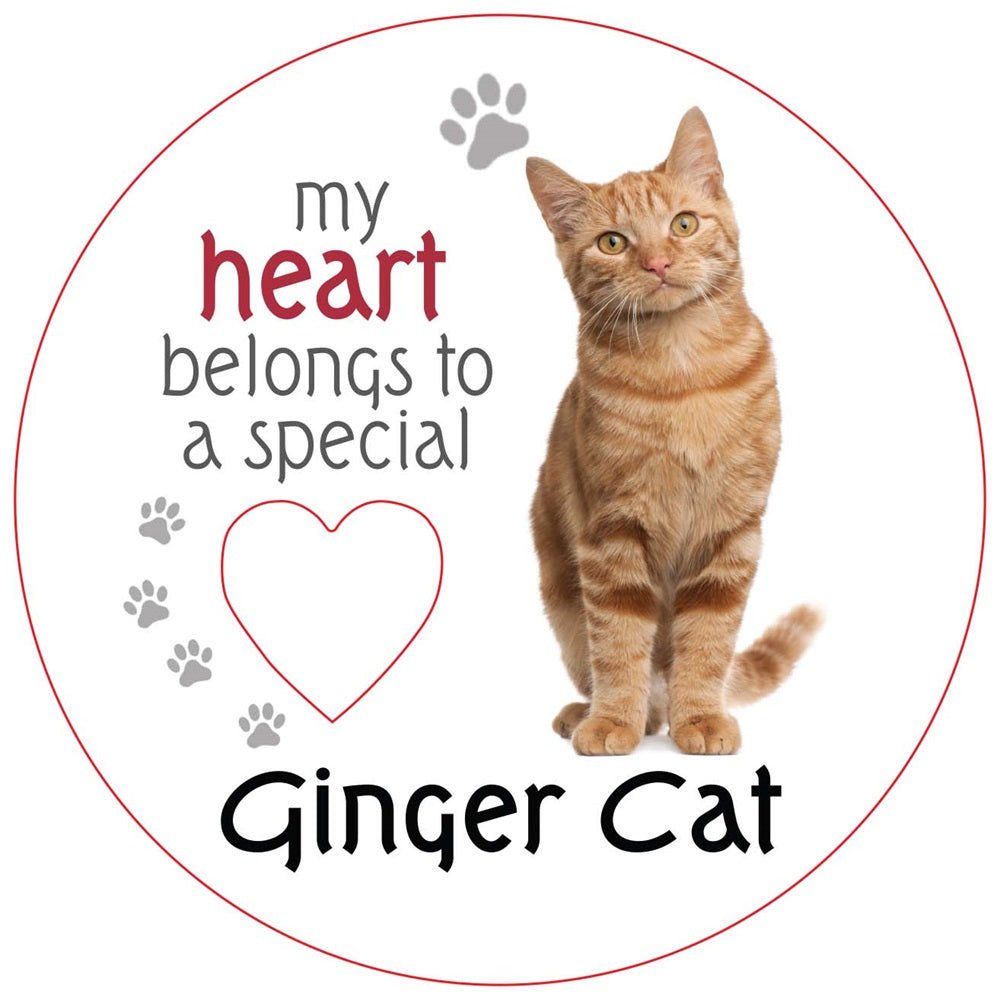 Ginger Cat Piece of My Heart Magnet