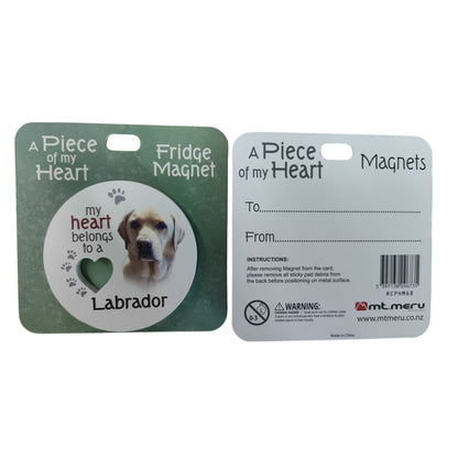 Golden Labrador Piece of My Heart Magnet