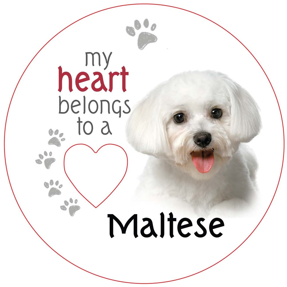 Maltese Piece of My Heart Magnet