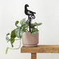 Acrylic Pot Plant Stake - Pukeko