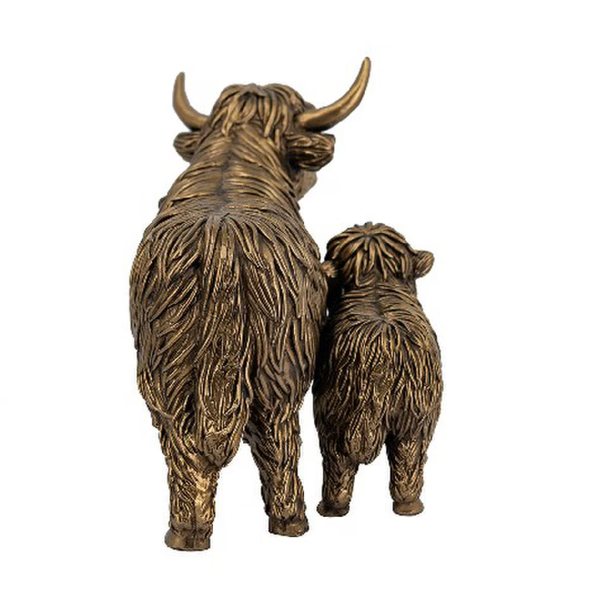 Highland Cattle & Calf