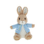 Peter Rabbit Toy 22CM