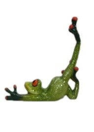 Funky Yoga Frogs