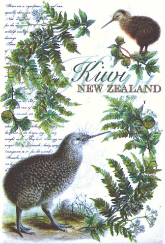 Kiwi Magnet