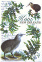 Kiwi Magnet