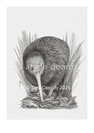 Kiwi A4 Art Print