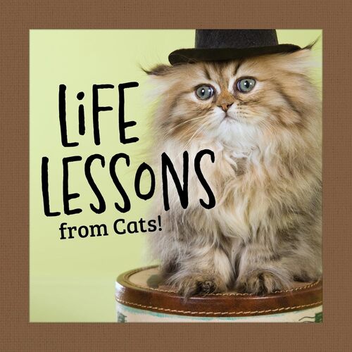 Life Lessons from Cats! Book