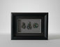 Framed Paua Koru, Hook and Twist