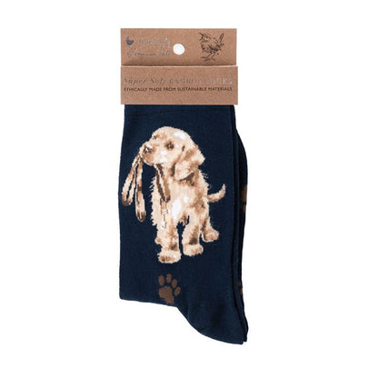 'Hopeful' Labrador Socks