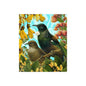 Botanical Collection Lens Cloths -Birds - Tigerlily Gift Store