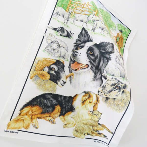 Collie Sheep Dog Tea Towel