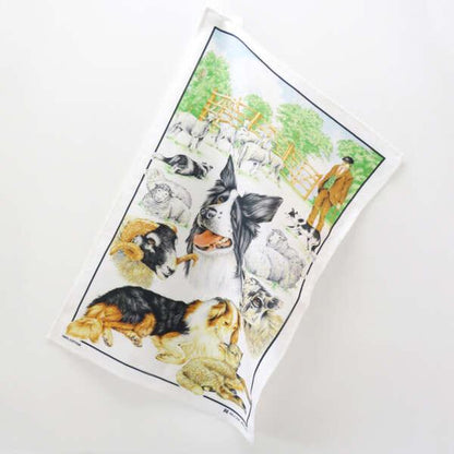 Collie Sheep Dog Tea Towel