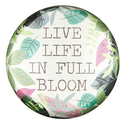 Glass Paperweight Dome-Full Bloom