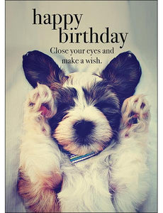 Happy Birthday Card - Tigerlily Gift Store
